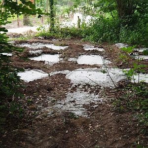 Ongoing construction near the new Barbary macaque exhibit - Slabs of concrete in the forest, 2019-06-26