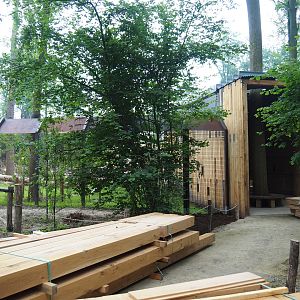 Future viewing and education area for the new Barbary macaque exhibit, 2019-06-26