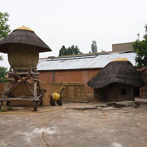 Members' preview of the new bonobo house, 2019-06-26