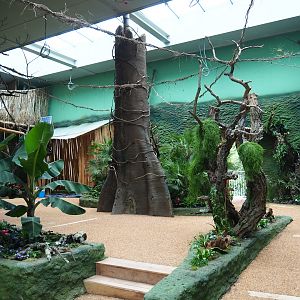 Members' preview of the new bonobo house - Visitor area, 2019-06-26