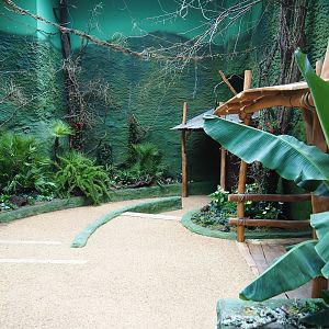 Members' preview of the new bonobo house - Visitor area, 2019-06-26