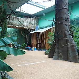 Members' preview of the new bonobo house - Visitor area, 2019-06-26
