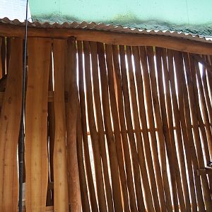 Members' preview of the new bonobo house - Future ranger camp, 2019-06-26