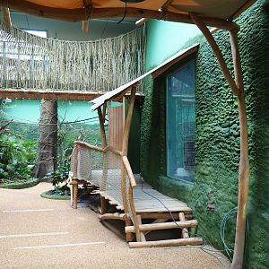 Members' preview of the new bonobo house - Visitor area, 2019-06-26