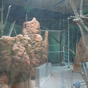 Members' preview of the new bonobo house - Second indoor exhibit, 2019-06-26