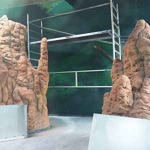 Members' preview of the new bonobo house - Second indoor exhibit, 2019-06-26