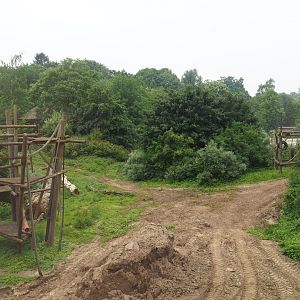 Members' preview of the new bonobo house - View onto the island, 2019-06-26