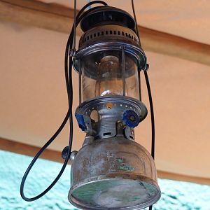 Members' preview of the new bonobo house - Field lamp, 2019-06-26