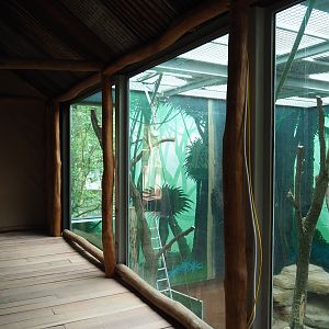 Members' preview of the new bonobo house - First indoor exhibit and viewing area, 2019-06-26