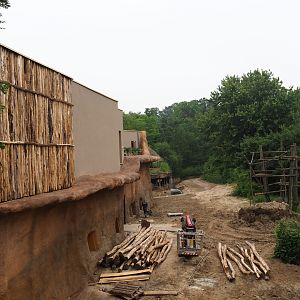 Members' preview of the new bonobo house - View of the island and the building, 2019-06-26