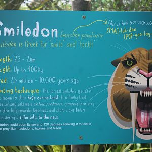 smilodon label June 2019