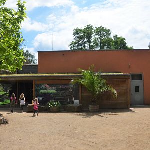 Gorilla Family Group Enclosure at Krefeld, 15/06/19