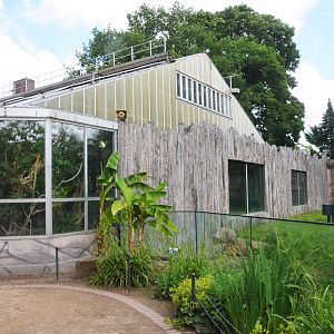 Gorilla Family Group Enclosure and Main Ape House at Krefeld, 15/06/19