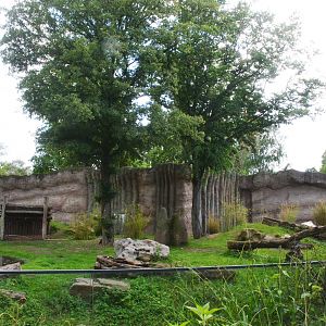 Gorilla Family Group Enclosure at Krefeld, 15/06/19