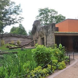 Gorilla Family Group Enclosure at Krefeld, 15/06/19