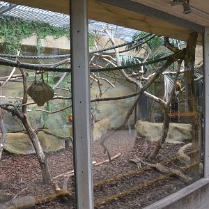 Monkey Enclosures in Ape House at Krefeld, 15/06/19