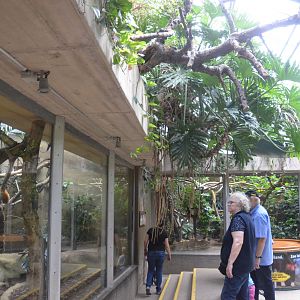 Monkey Enclosures in Ape House at Krefeld, 15/06/19