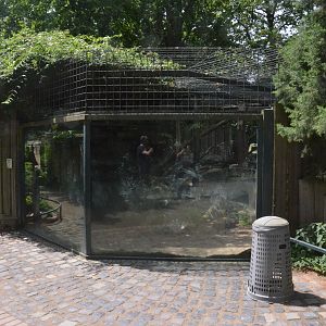 Snow Leopard Complex at Krefeld, 15/06/19