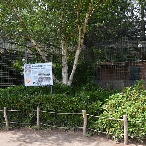 Snow Leopard Complex at Krefeld, 15/06/19