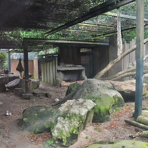 Snow Leopard Enclosure at Krefeld, 15/06/19