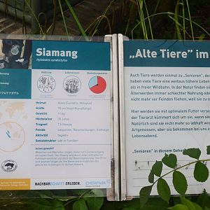 Signage Example at Krefeld, 15/06/19