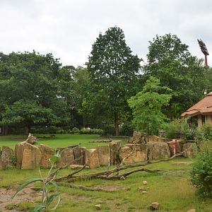 Eastern Black Rhino and Savannah Enclosures at Krefeld, 15/06/19