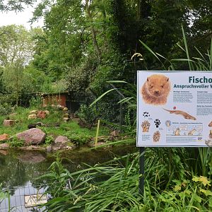 European Otter Enclosure at Krefeld, 15/06/19
