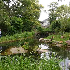 European Otter Enclosure at Krefeld, 15/06/19