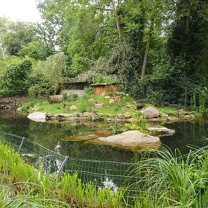 European Otter Enclosure at Krefeld, 15/06/19