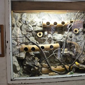 Cretan Spiny Mouse Enclosure at Krefeld, 15/06/19