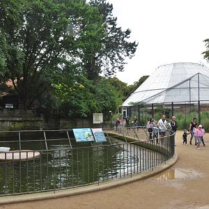 Sea Lion Pool at Krefeld, 15/06/19