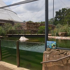Penguin and Tern Aviary at Krefeld, 15/06/19