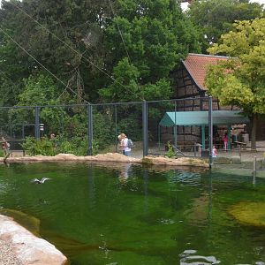 Penguin and Tern Aviary at Krefeld, 15/06/19