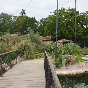 Penguin and Tern Aviary at Krefeld, 15/06/19