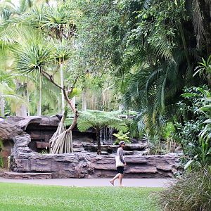 Australian Lizard Enclosure