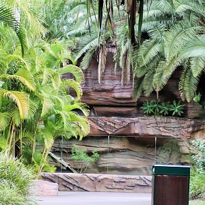 Komodo Dragon Enclosure- Viewing Area