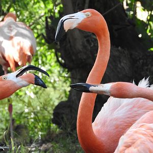 Territorial dispute under watch