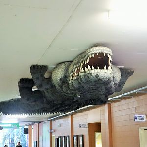 Crocodile on the Roof - Crocoseum