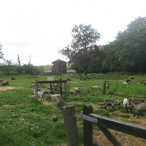 Randers Naturcenter - Petting exhibit
