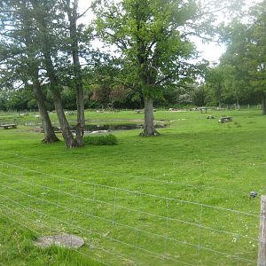 Randers Naturcenter - Petting exhibit