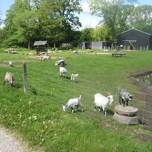 Randers Naturcenter - Petting exhibit
