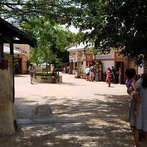 African Forest entry village