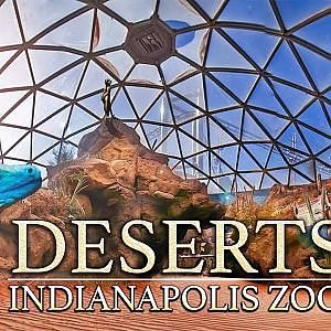 Zoo Tours: The Desert Dome & Extreme Snakes (New Exhibit)