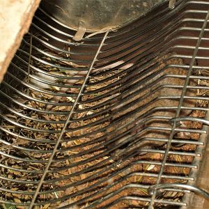 Anderson's Gerbil at Pilsen, 01/09/12