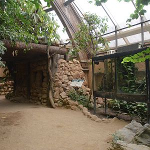 Rainforest House Vivaria and Bat Viewing Tunnel at Krefeld, 15/06/19