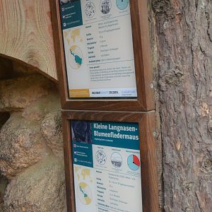 Signage Example at Krefeld, 15/06/19