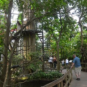 Rainforest House at Krefeld, 15/06/19
