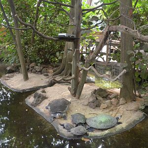 Rainforest House with Arrau at Krefeld, 15/06/19