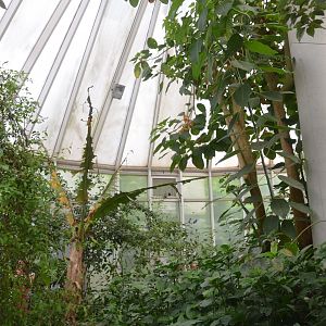 Butterfly House Interior at Krefeld, 15/06/19