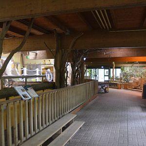 Elephant, Rhino and Pygmy Hippo House at Krefeld, 15/06/19